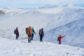 Winter Skills and or Guided Winter Walk Day