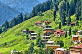 特拉布宗（Trabzon）的心脏〜菲蒂纳山谷（Firtina valley），艾德高地（Ayder Highland）等。