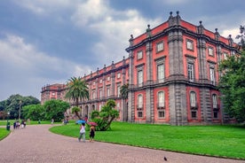 Capodimonte Art Gallery Private Tour