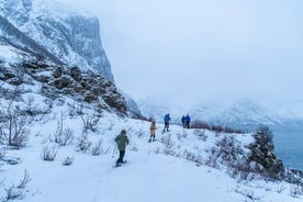 Excursão a pé pelas paisagens do Ártico - passeios turísticos e caminhadas na neve, Tromsø