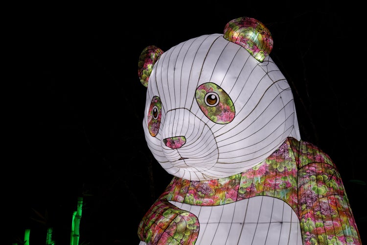 photo of view of The Festival des Lanternes in Blagnac - Giant panda.