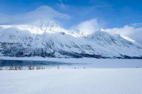  Visite du fjord arctique et du paysage