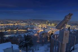 Photo of aerial view of Gjøvik, Norway.