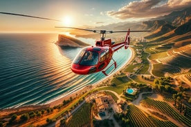 Private Helicopter Ride and Winery Tour