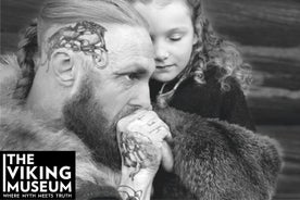 Inngangsbillett til Vikingmuseet