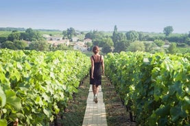 Descubra as adegas no coração do campo em Champagne