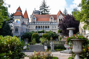 Bory Castle