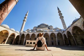 Istanbul: Best of the City Private Full-Day Walking Tour