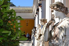 Shore Excursion: Customized Private Half-Day Tour of Corfu