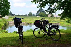 "Explorez Saint-Émilion en vélo électrique : visite en petit groupe d'une journée"