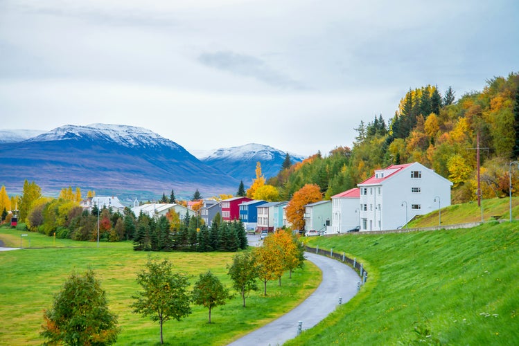 shutterstock_1224252817.jpg