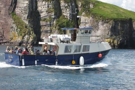 Paseo en barco por la península de Dingle