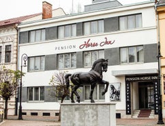 Pension Horse Inn