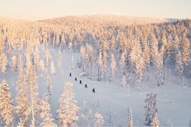 E-FATBIKE erfaring i små grupper