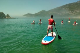 Stand up paddle-lektioner