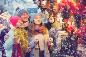  Magische Weihnachtstour in Kiruna