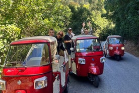 1-stündige private Tuk-Tuk-Tour in Sintra