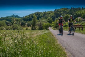 E-mountainbike-avontuur in Praag in het Boheemse Paradijs