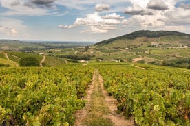 4-timers tur i lille gruppe med vinsmagning af Beaujolais og med afgang fra Lyon