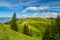 photo of walking trail leading tourists through beautiful nature of Swiss Alps in Hoch Ybrig in Switzerland.