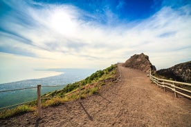 ポンペイからのヴェスヴィオ山へのワインの試飲と小旅行