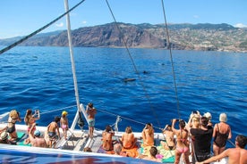 Crucero en catamarán con avistamiento de ballenas y delfines desde Funchal