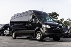 Privétransfers op het hele eiland Puerto Rico, 14Pax Lux Sprinter Van