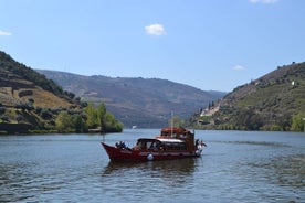 Tour della valle del Douro: 2 visite ai vigneti, crociera sul fiume, pranzo in cantina