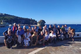 Visita guiada privada de meio dia à Ilha de Ischia