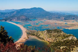 Recorrido por la playa de tortugas de Bodrum con baños de barro y tumbas reales