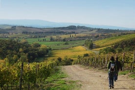 Excursão privativa: caminhada guiada na Toscana com transporte partindo de Siena