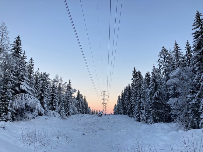 Trees covered with snow in Drammen.