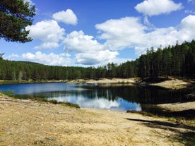 Gröntjärn