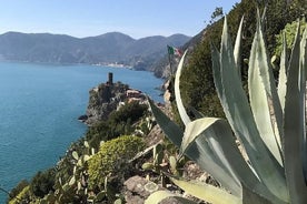 Einkar Cinque Terre með ferju með viðkomu í Pisa frá Flórens