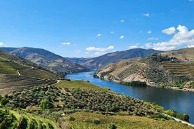 Tour privato attraverso la valle del Douro (cantine + barca)