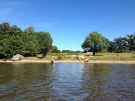 Kungshamn-Morga