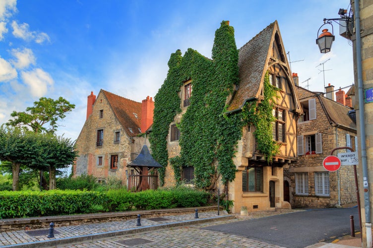 Photo of beautiful typical traditional French fairytale ancient house overgrown with ivy in the streets of Nevers, France.