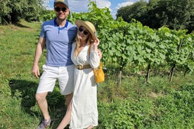 From Krakow: Wine Tasting at Vineyard