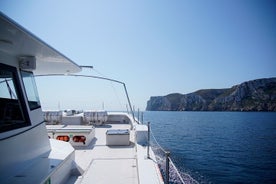 Tour avec arrêt baignade à Calpe ou Altea