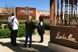 Tour premium alla Ribera del Duero con guida enologa