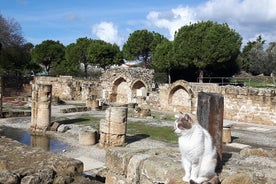 Ville antique de PAPHOS