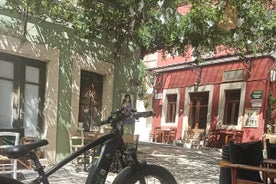 Excursão ecológica de bicicleta de dia inteiro no Palácio de Knossos e vilas antigas