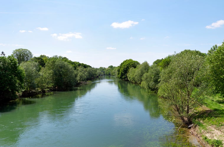 photo of view of Marne river banks In Noisiel country, Noisiel, France.