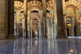 Private Visit Mosque-Cathedral, Jewish quarter, Alcazar and Synagogue