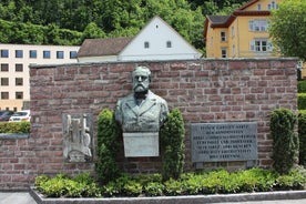 Esplora i luoghi instabili di Vaduz con un locale