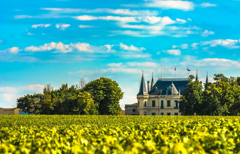 Photo of Chateau and vineyard in Margaux, Bordeaux, France.