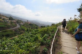 Rota do Vinho - Weinstraße (Halbtageswanderung)