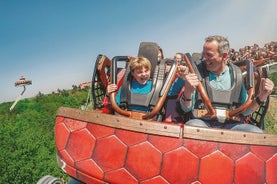 Inträdesbiljett till nöjesparken Efteling