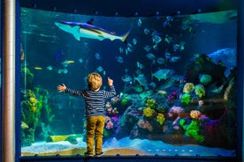 SEA LIFE Timmendorfer Strand Aðgangsmiði