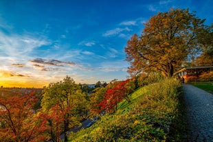 Panoramic view of historic Zurich city center with famous Fraumunster, Grossmunster and St. Peter and river Limmat at Lake Zurich on a sunny day with clouds in summer, Canton of Zurich, Switzerland